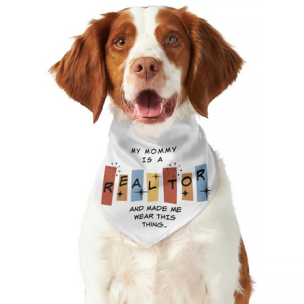 Atomic Realtor Pet's Scarf